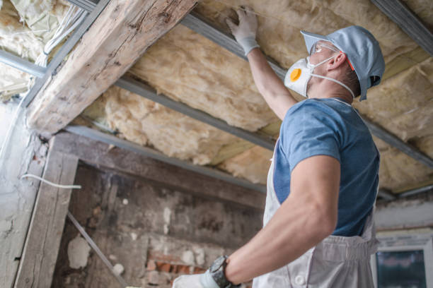 Best Residential Insulation Services  in Godfrey, IL