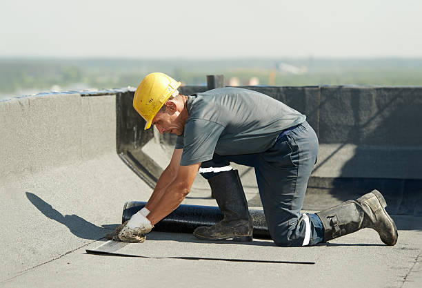 Best Wall Insulation Contractor  in Godfrey, IL