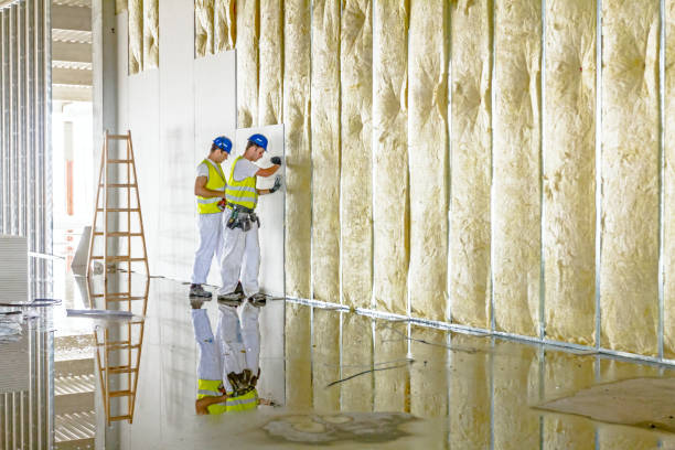 Best Insulation for New Construction  in Godfrey, IL